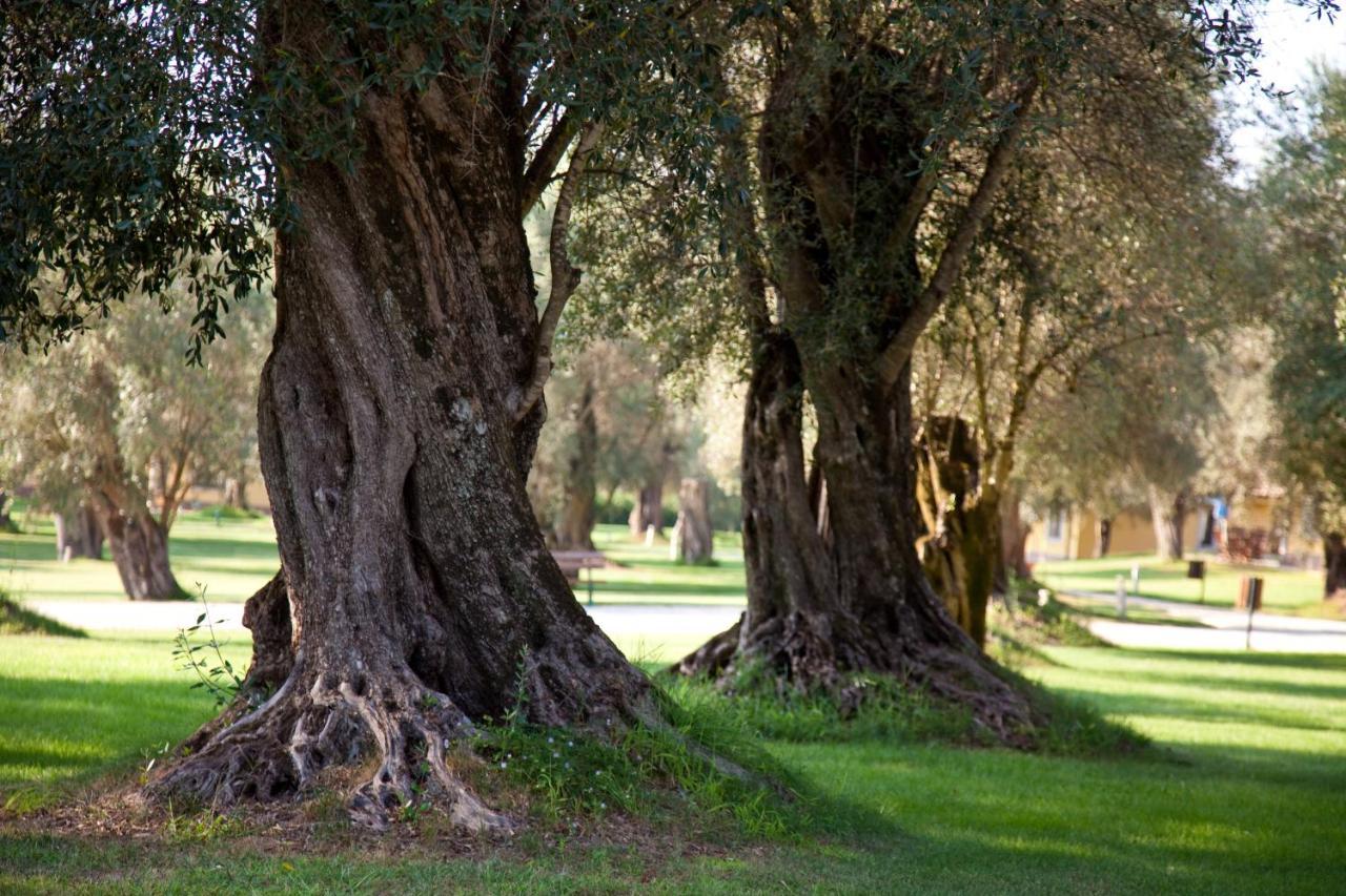 Uliveto Principessa Resort Cittanova  Exterior foto